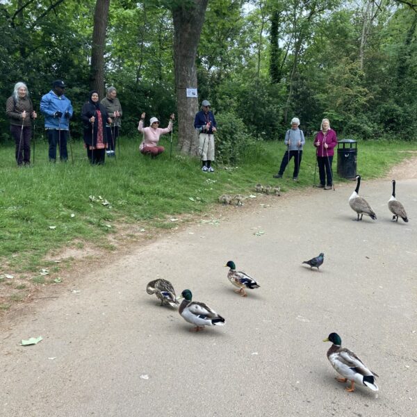 Nordic walking Eastville Park