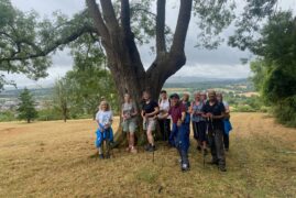 Summer Walks: Exploring Hidden Gems Around Bristol