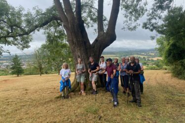 Summer Walks: Exploring Hidden Gems Around Bristol